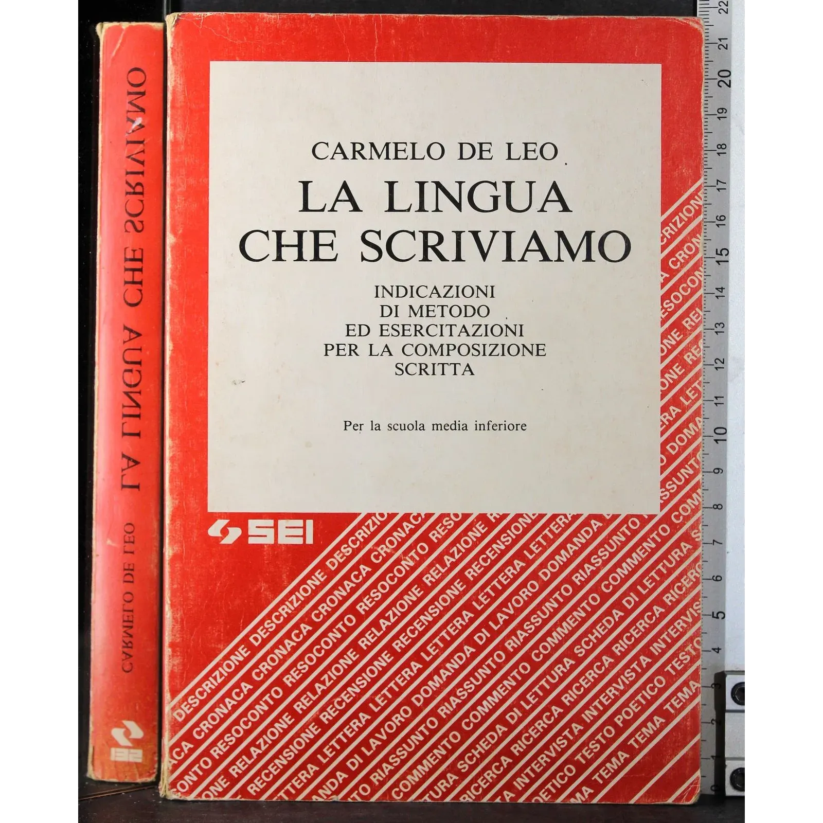 La linguia che scriviamo