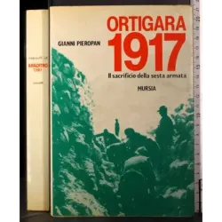 Ortigara 1917. Il sacrificio della Sesta Armata