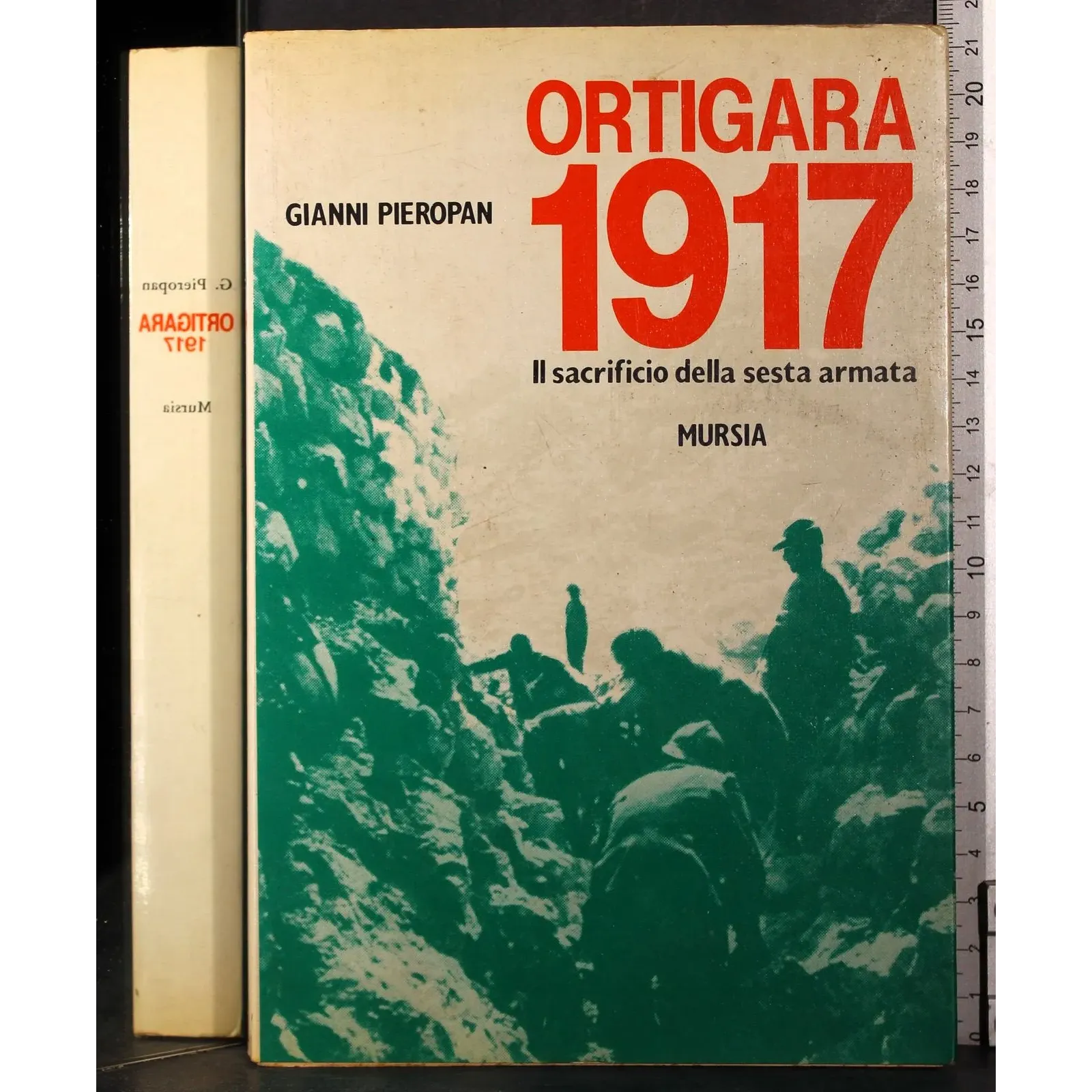 Ortigara 1917. Il sacrificio della Sesta Armata