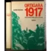 Ortigara 1917. Il sacrificio della Sesta Armata
