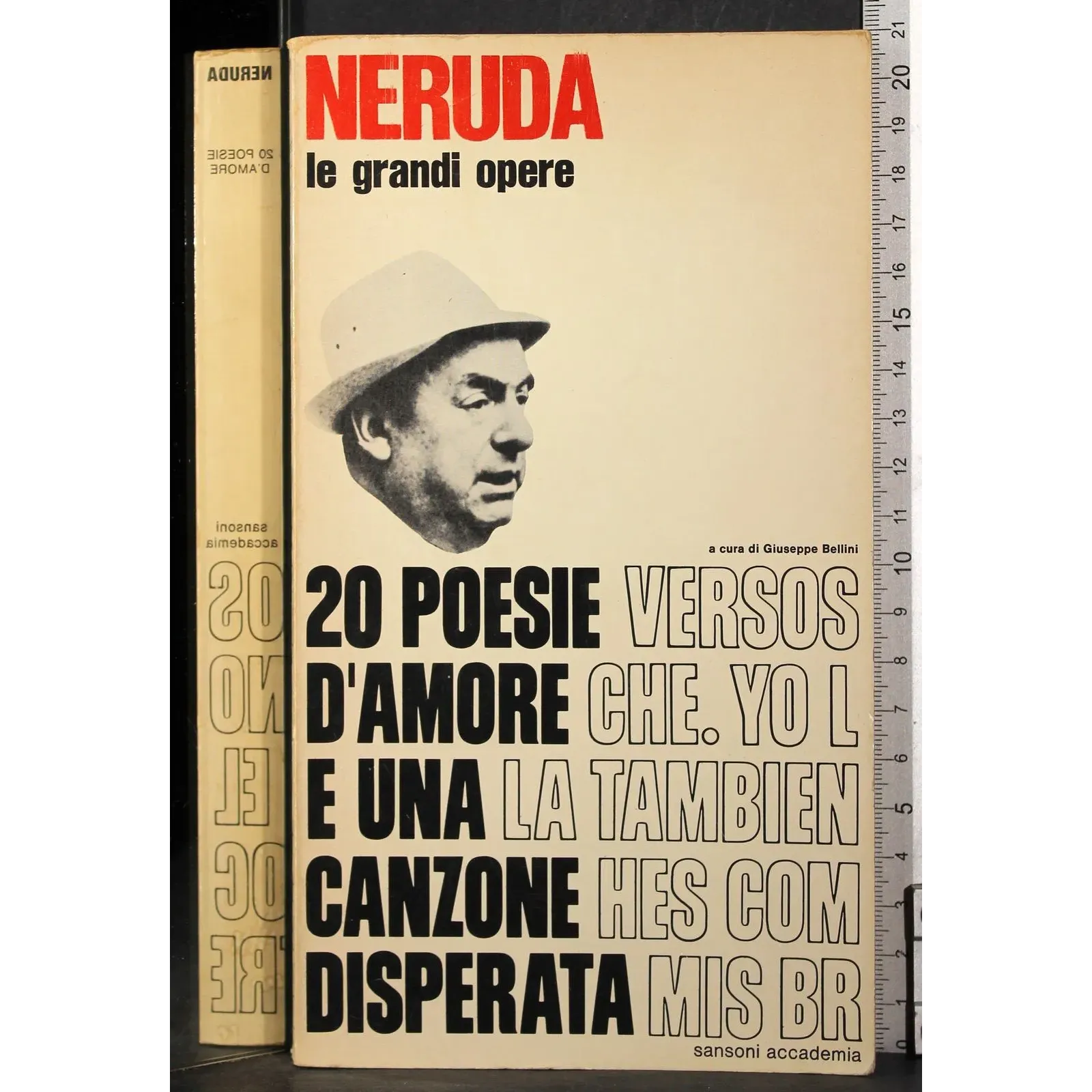 20 Poesie d'amore e una canzone disperata
