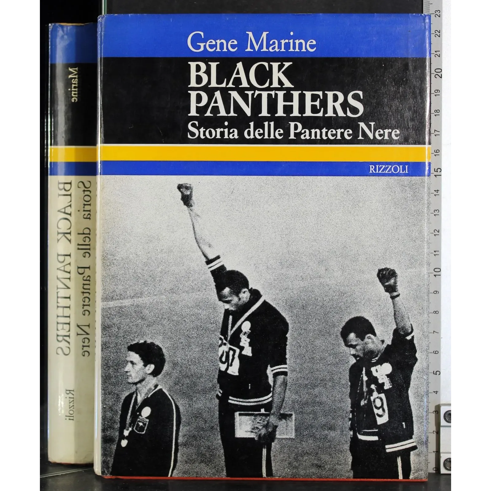 Black panthers. Storia delle pantere nere