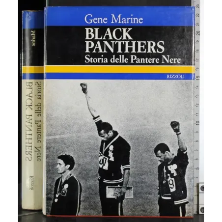 Black panthers. Storia delle pantere nere