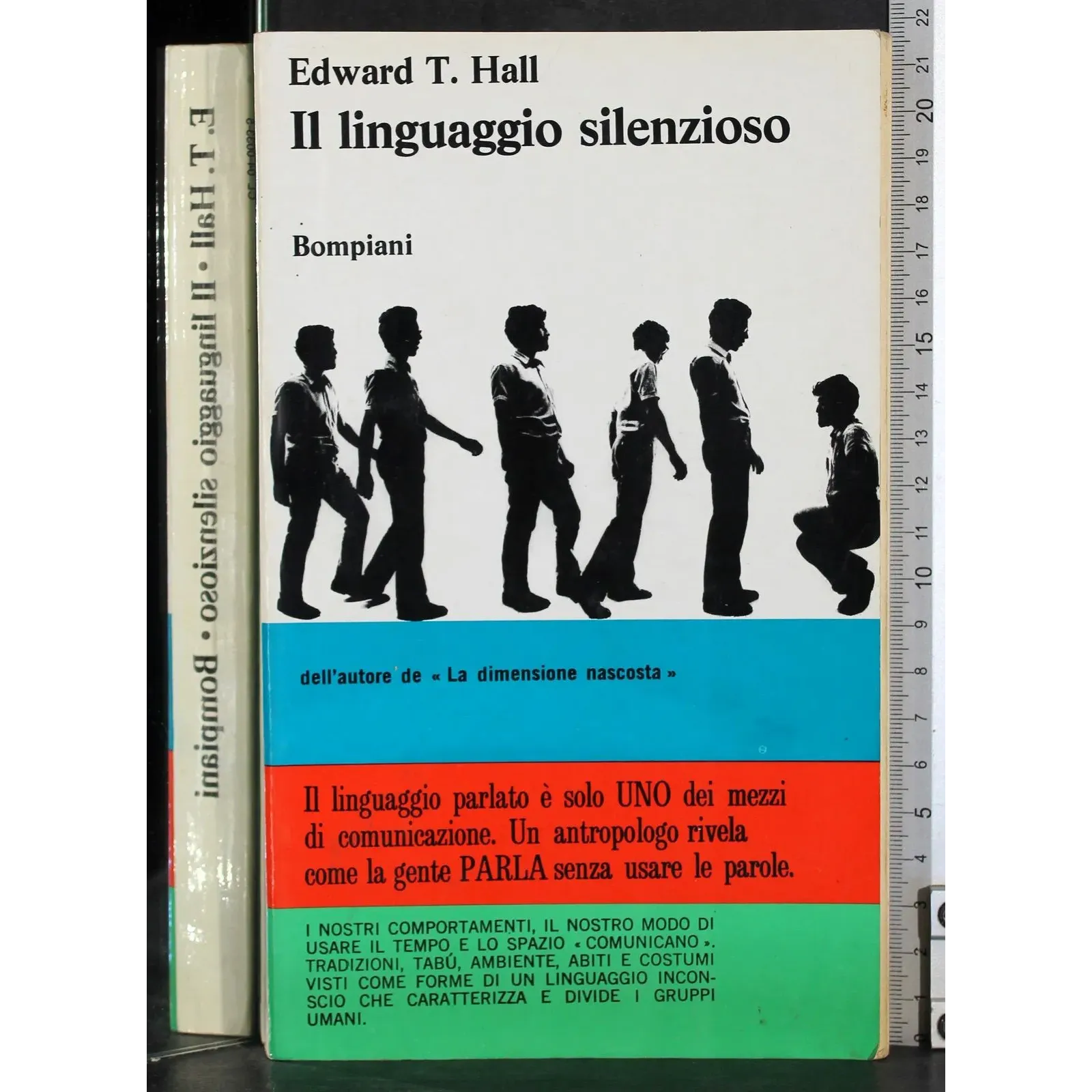 Il linguaggio silenzioso