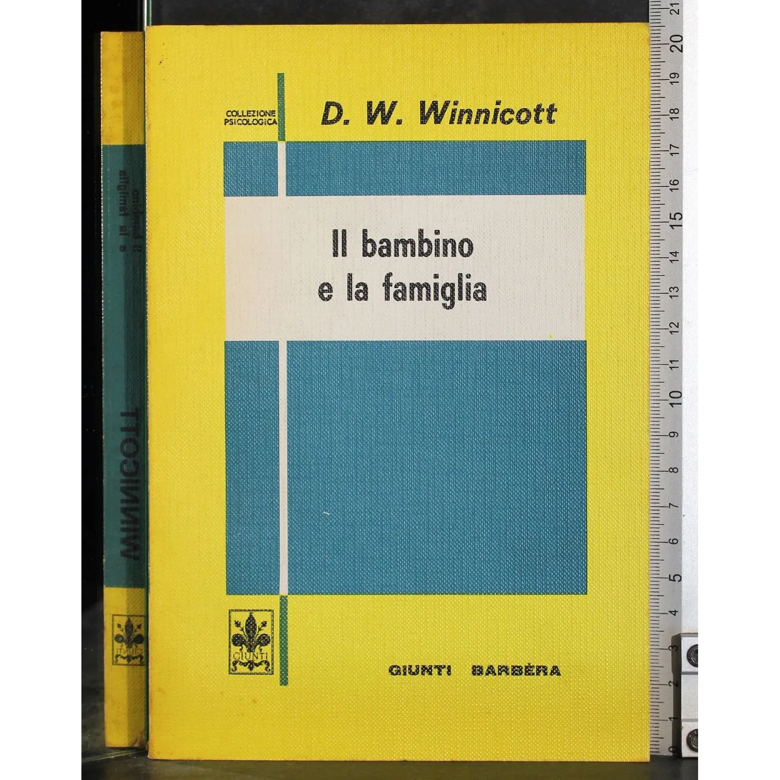 Il bambino e la famiglia