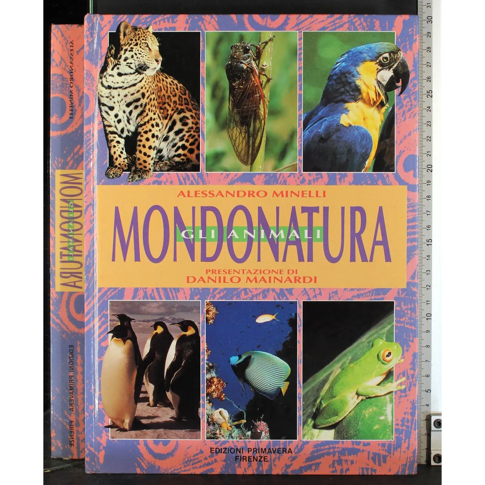 Mondonatura. Gli animali