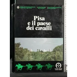 PISA E IL PAESE DEI CAVALLI. AA.VV. LITOGRAFIA TACCHI.