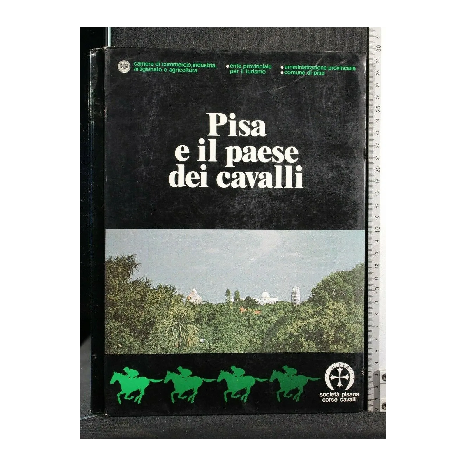 PISA E IL PAESE DEI CAVALLI. AA.VV. LITOGRAFIA TACCHI.
