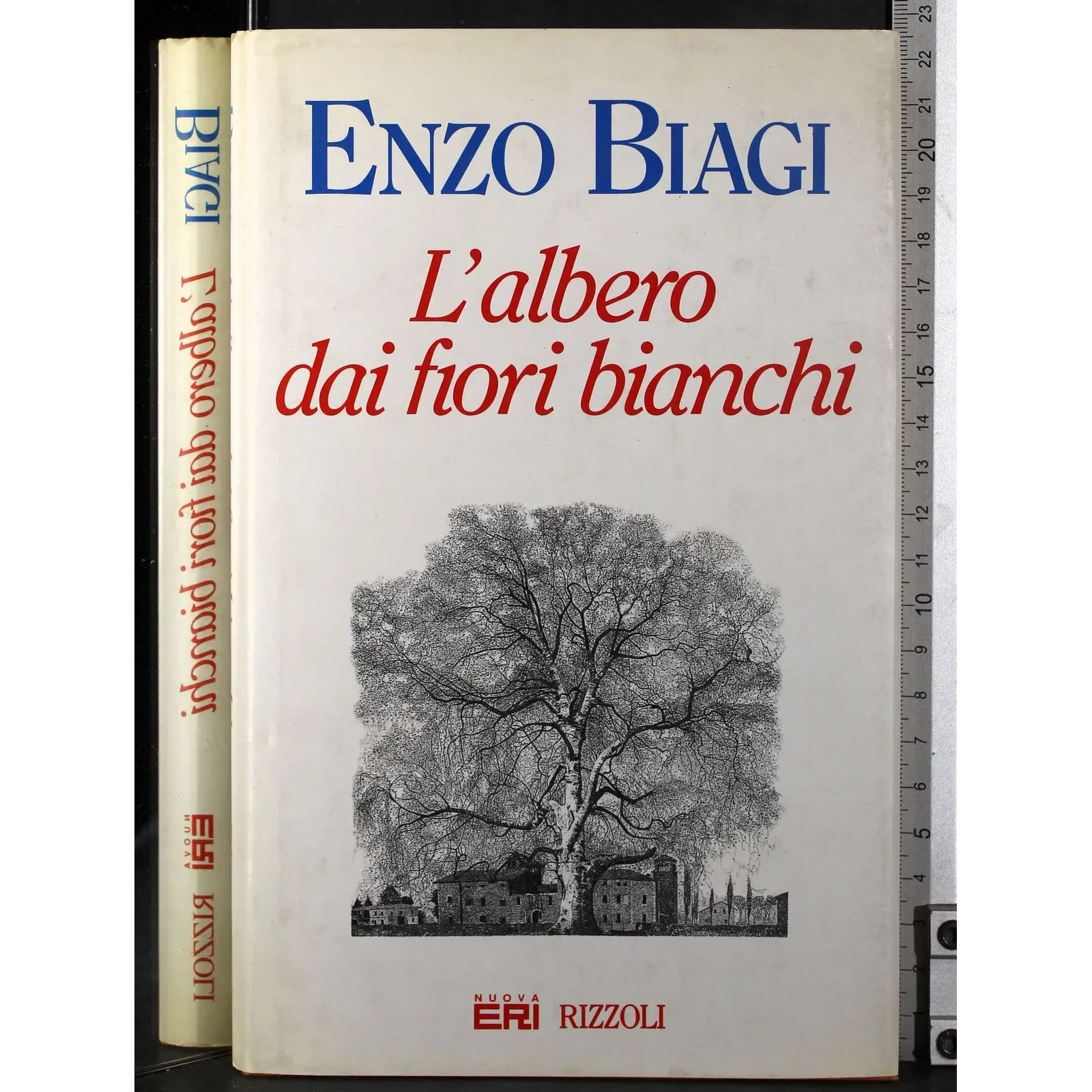 L'albero dai fiori bianchi