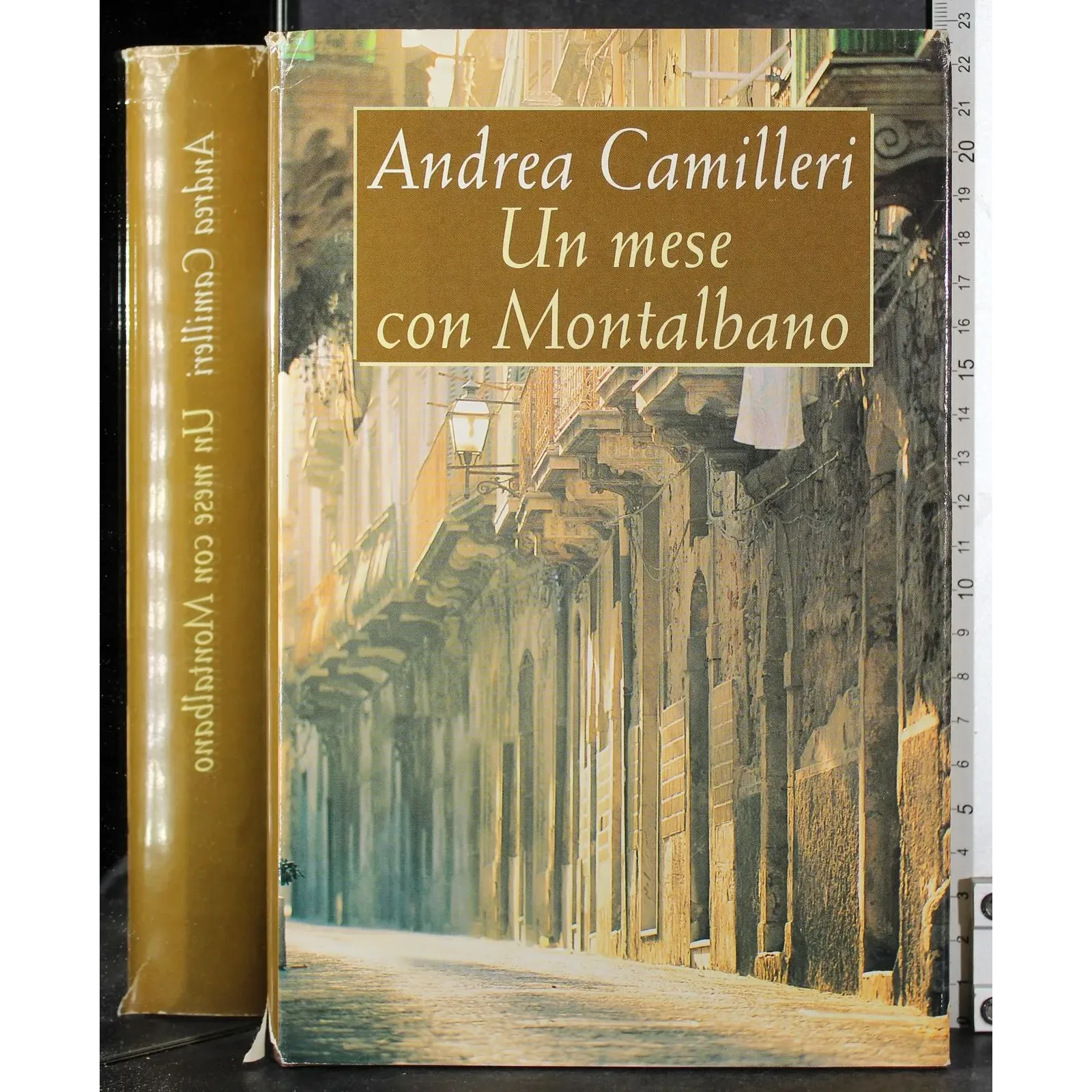 Un mese con Montalbano