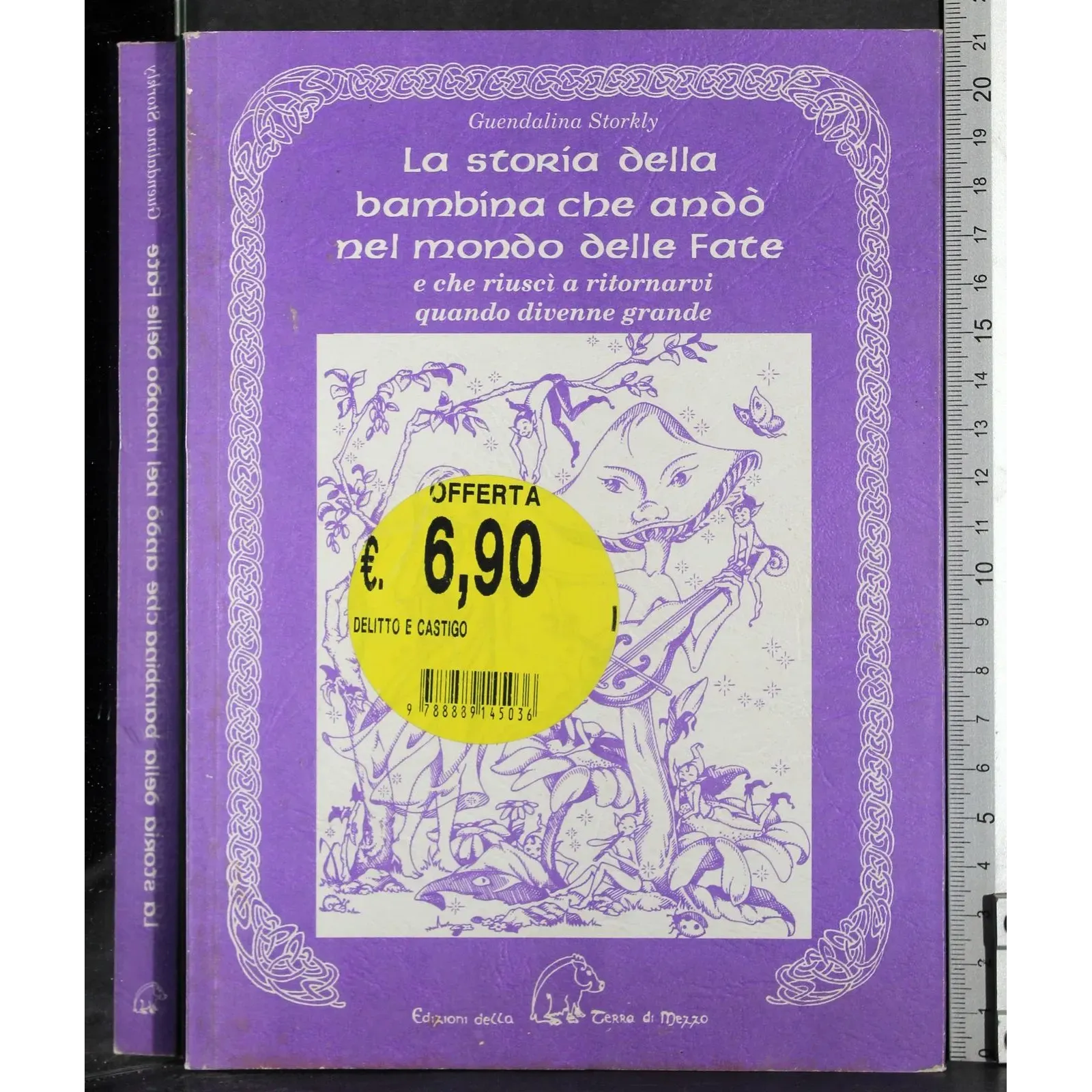 La storia della bambina che andò nel mondo delle fate