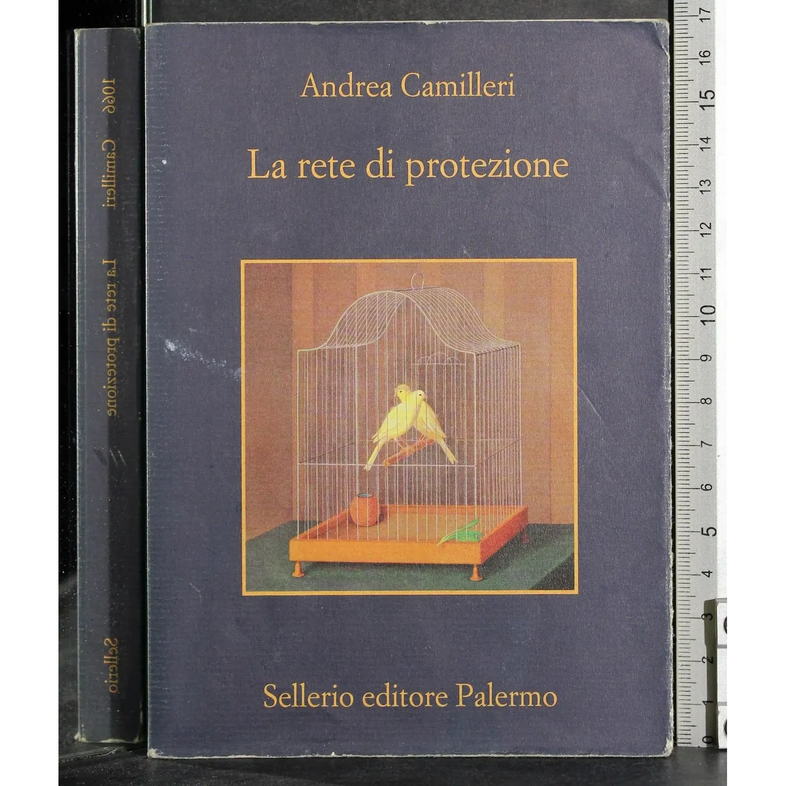 La rete di protezione