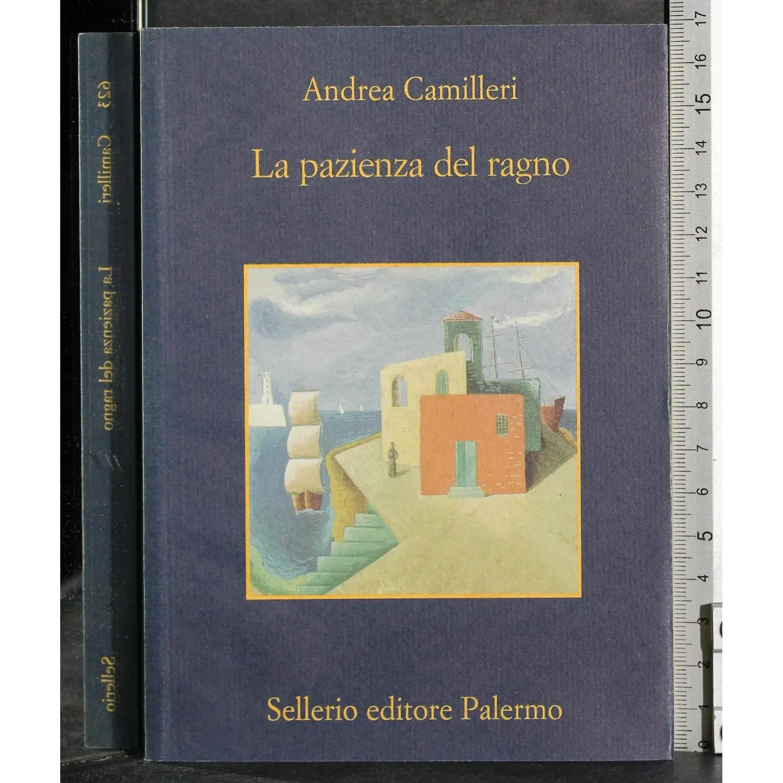 La pazienza del ragno