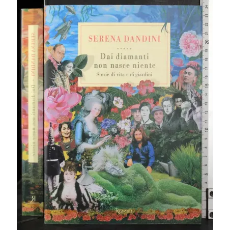 Dai diamanti non nasce niente