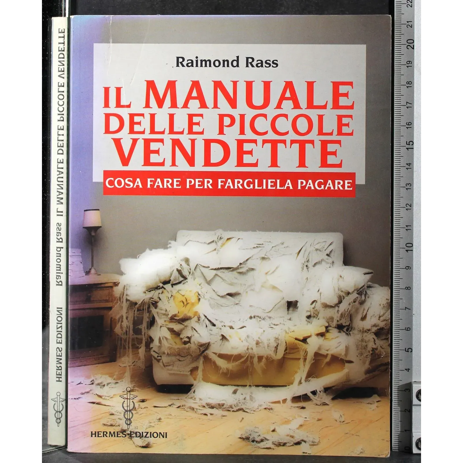 Il manuale delle piccole vendette