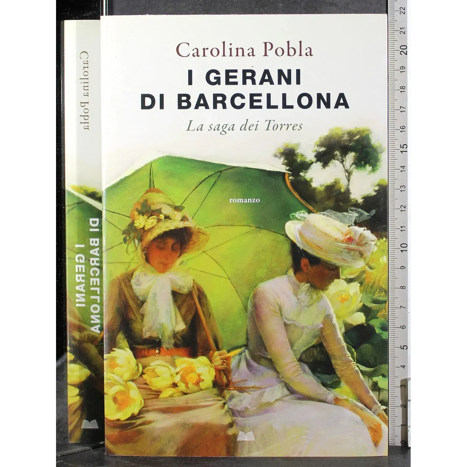 I gerani di Barcellona