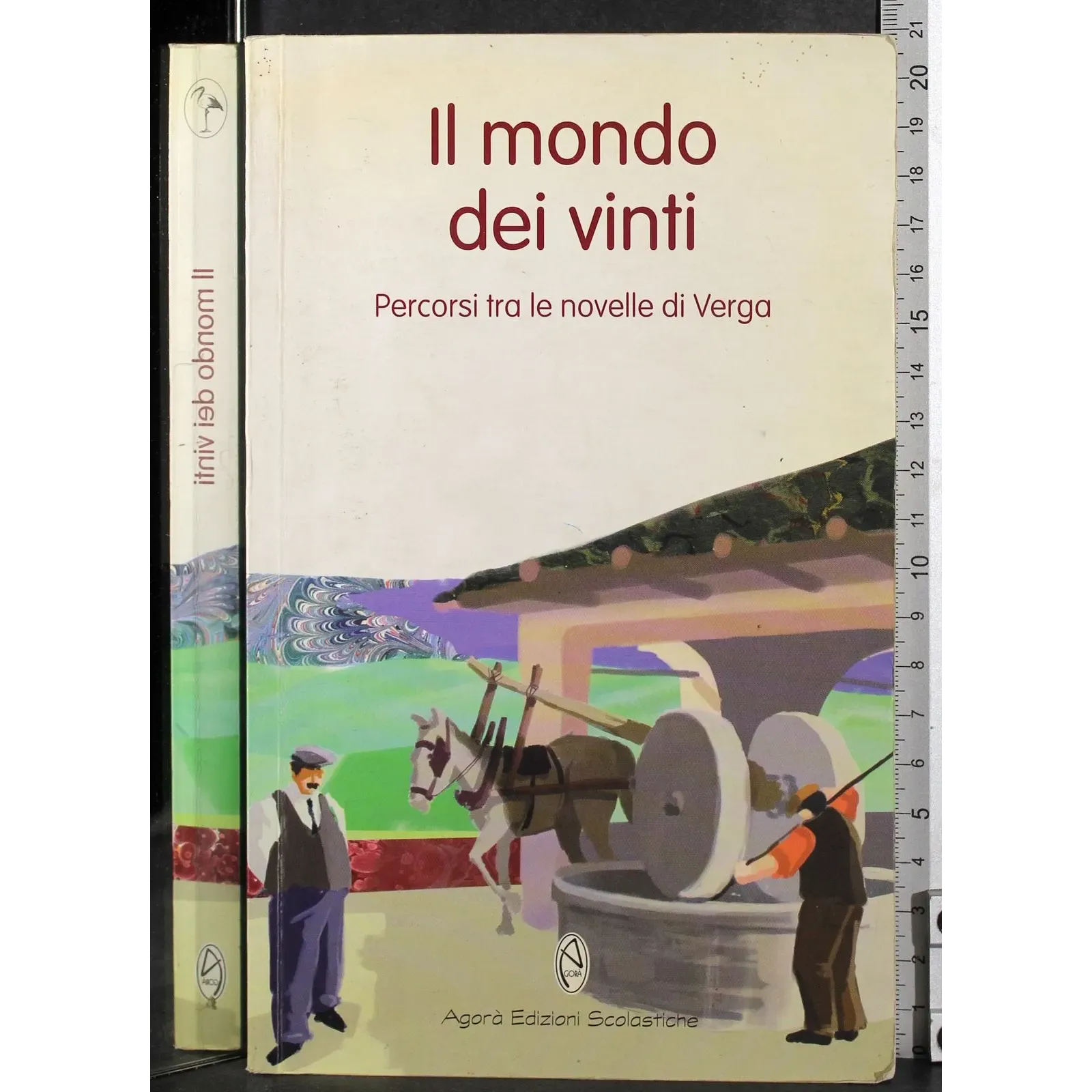 Il mondo dei vini