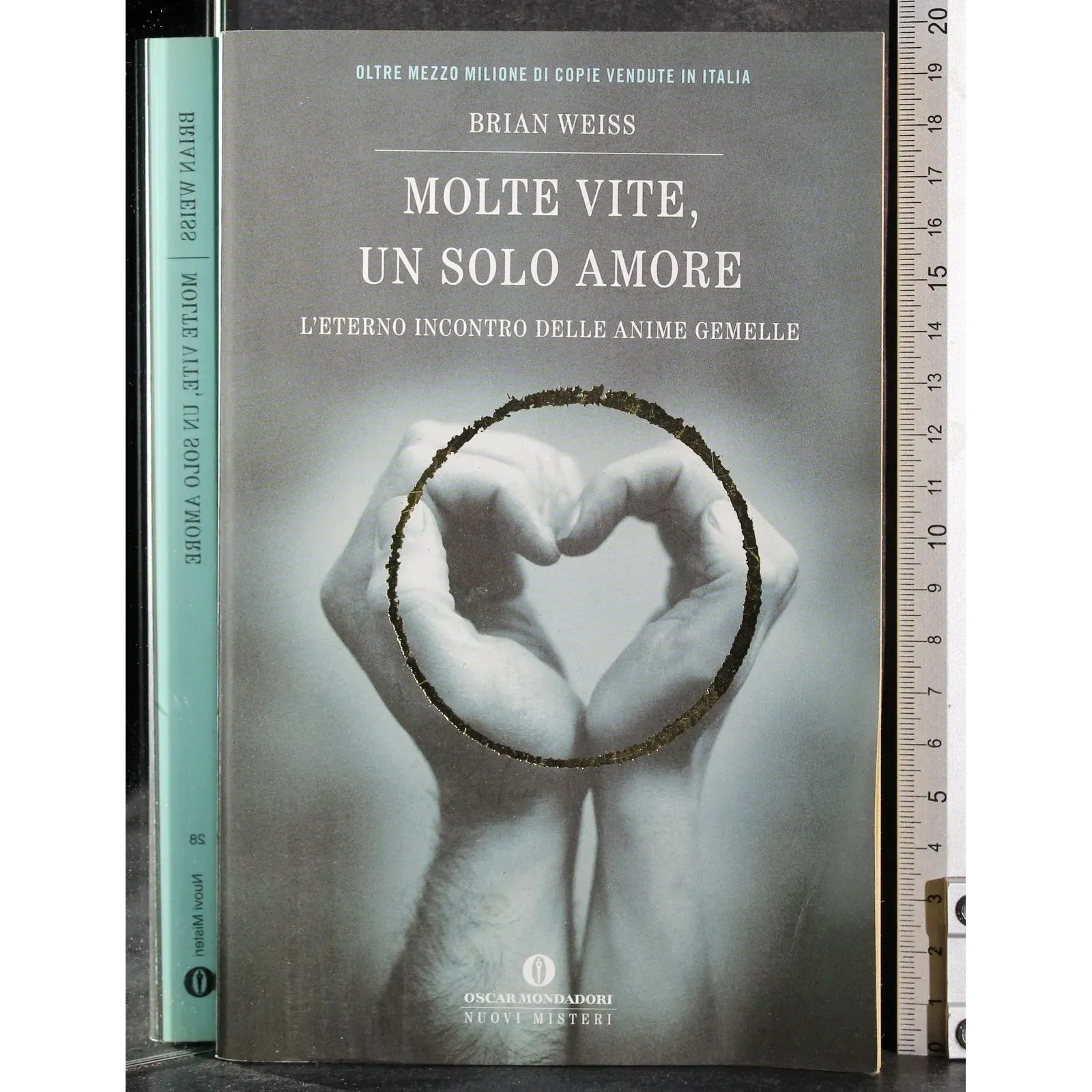Molte vite, un solo amore