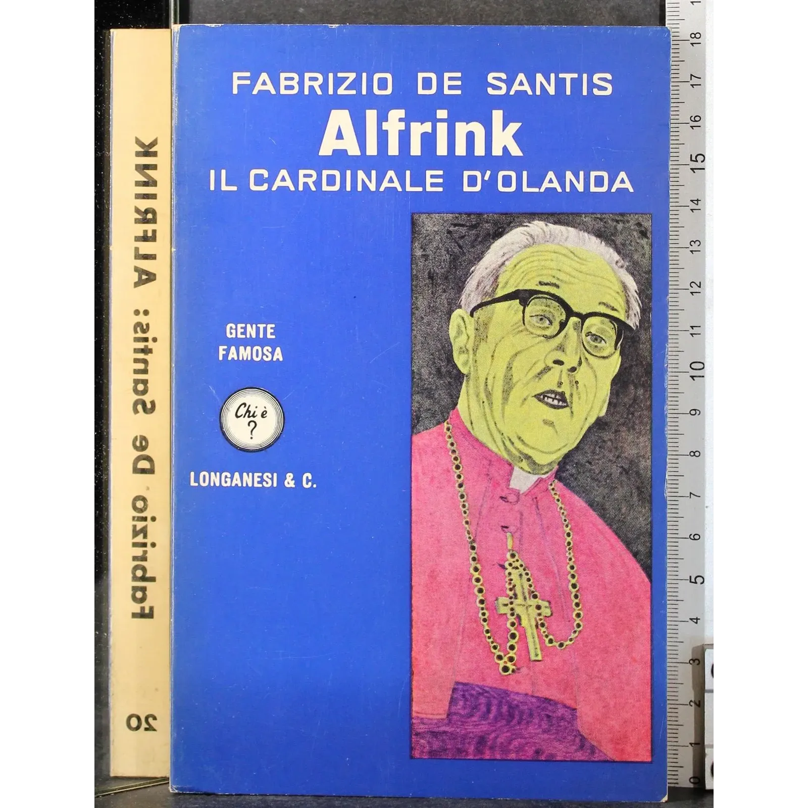 Alfrink. Il cardinale d'Olanda