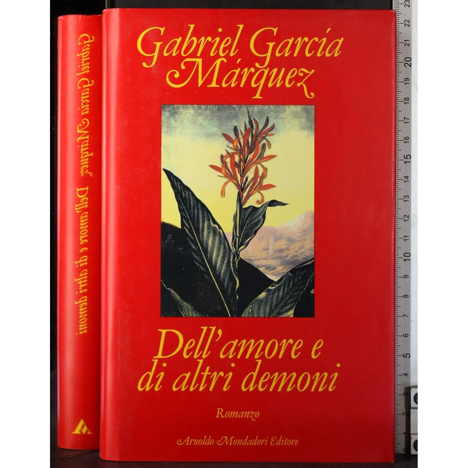 Dall'amore e di altri demoni