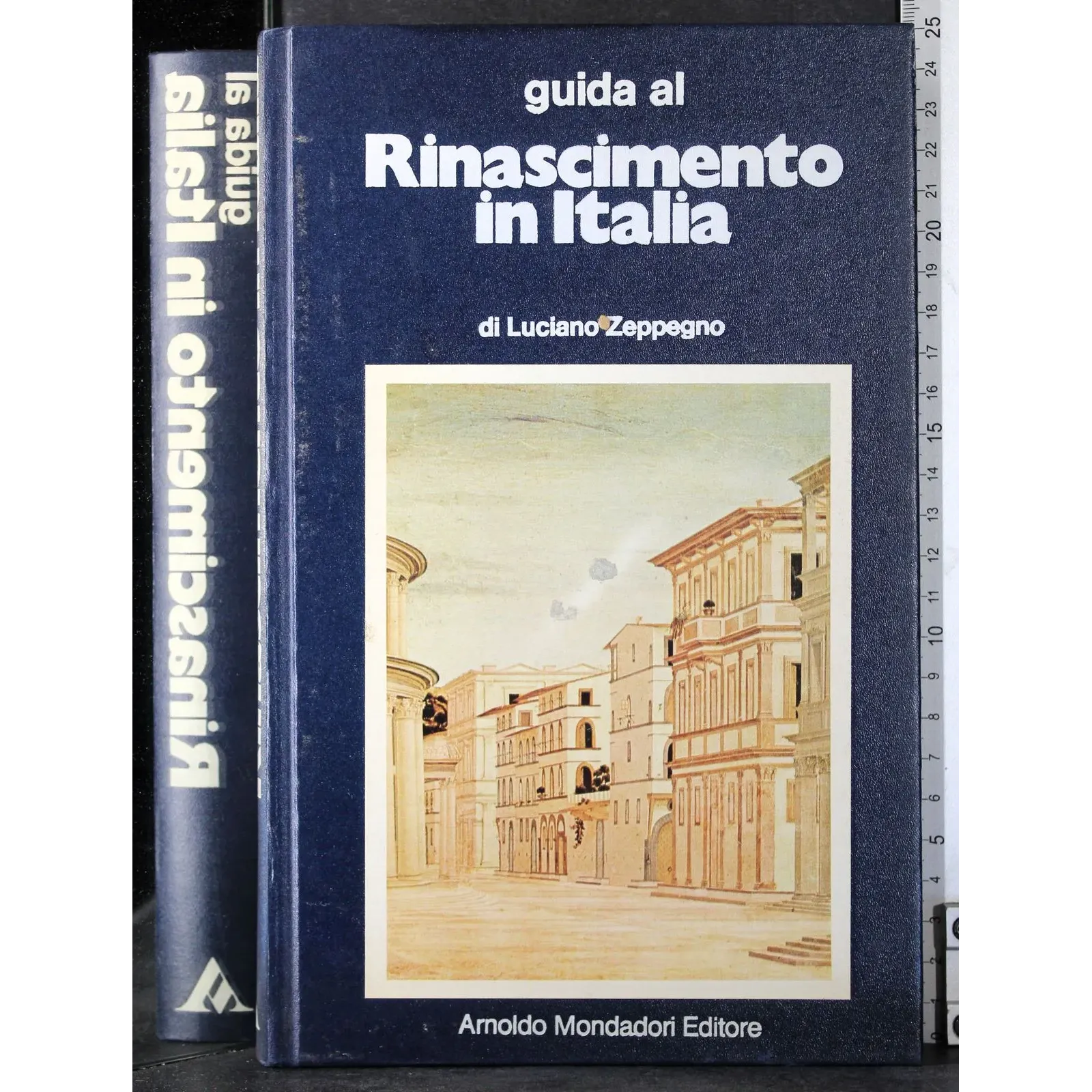 Guida al Rinascimento in Italia