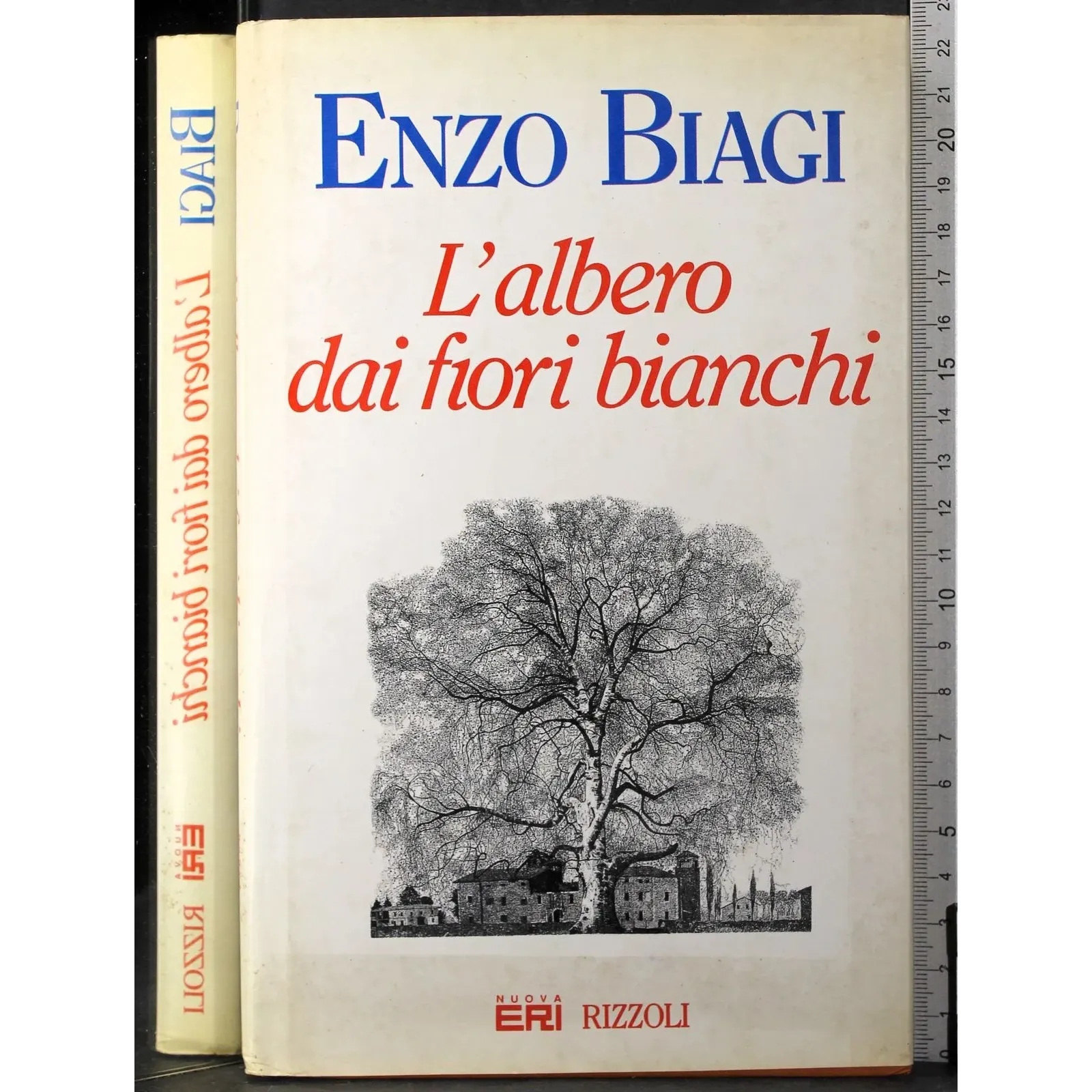 L'albero dei fiori bianchi