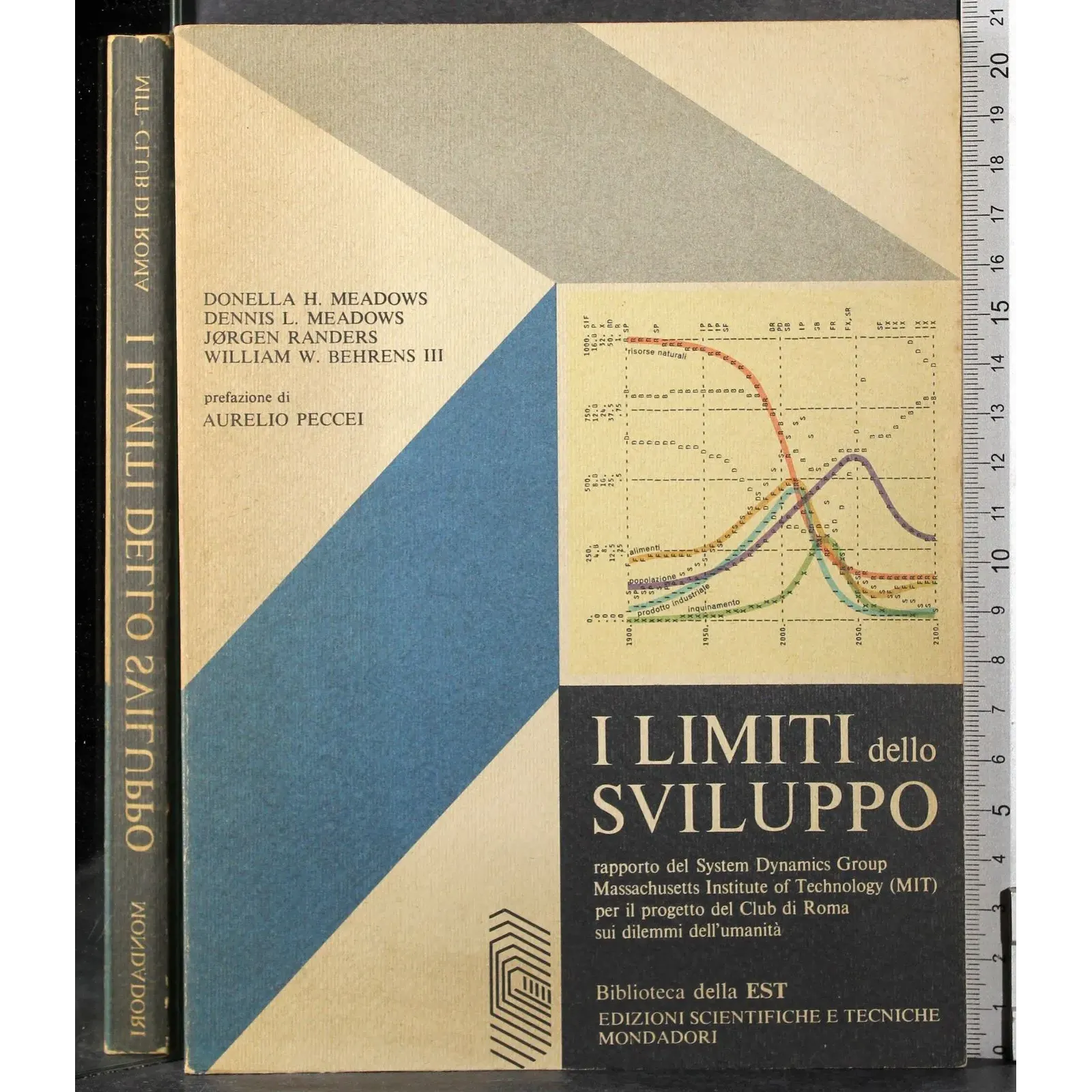 I limiti dello sviluppo