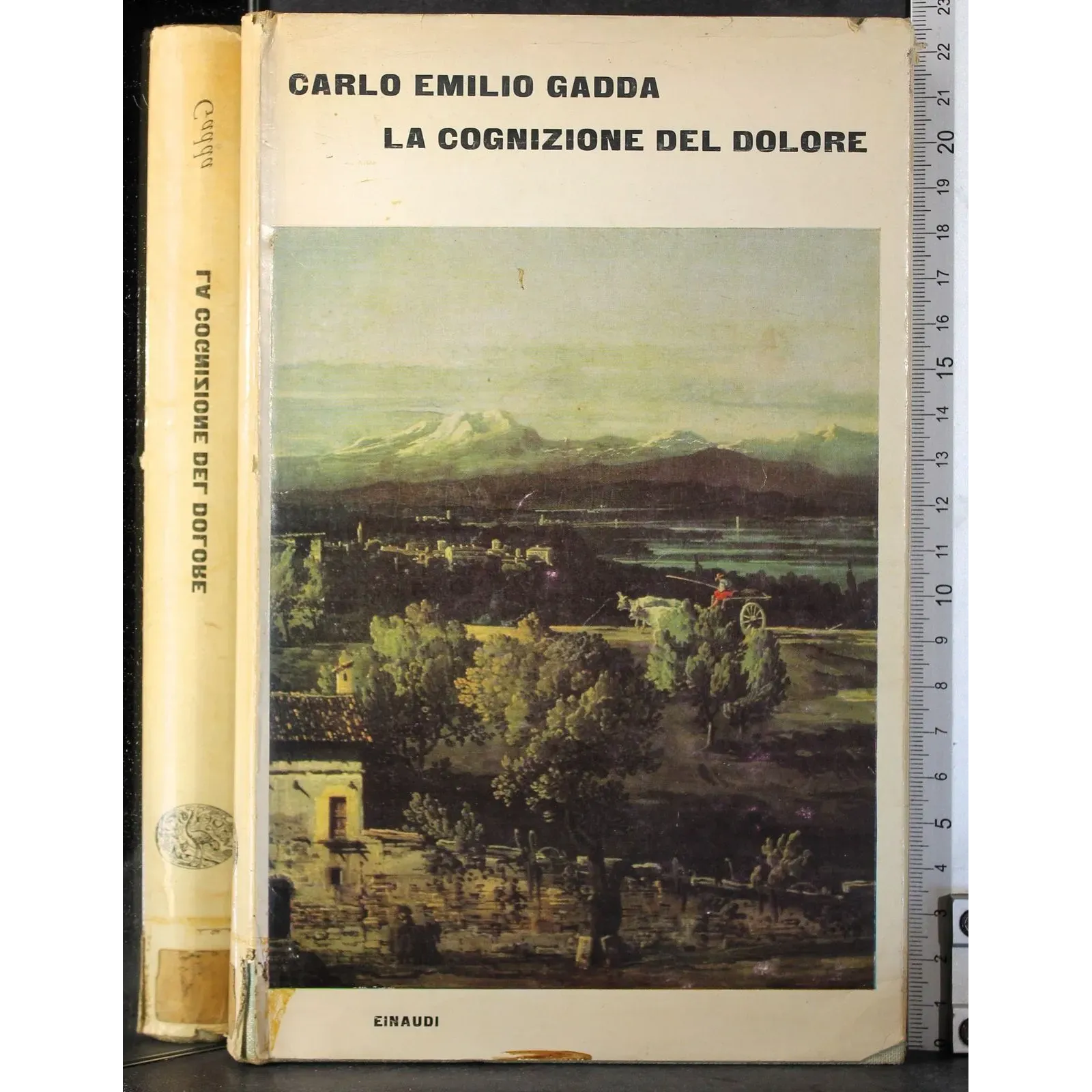 La cognizione del dolore