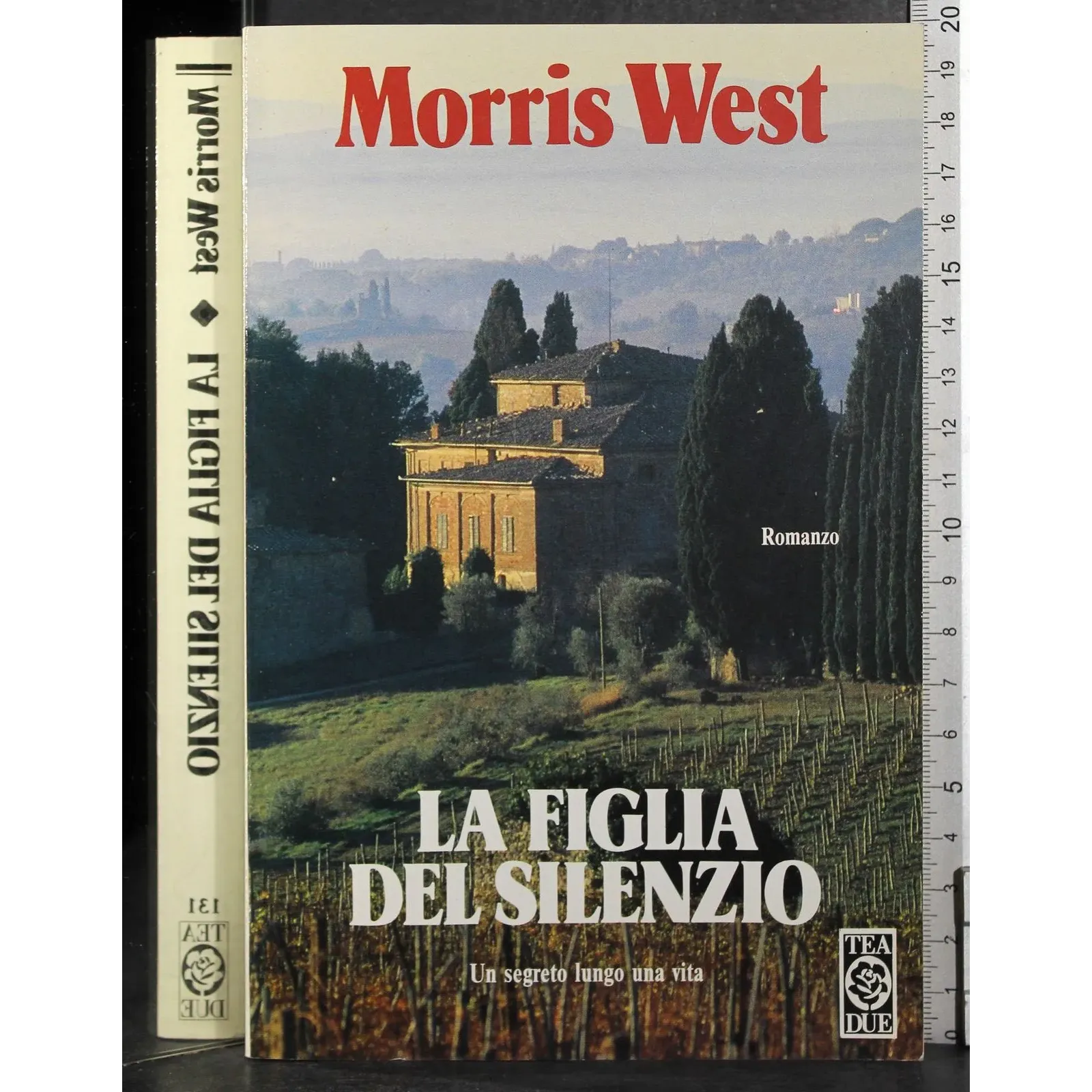 La figlia del silenzio