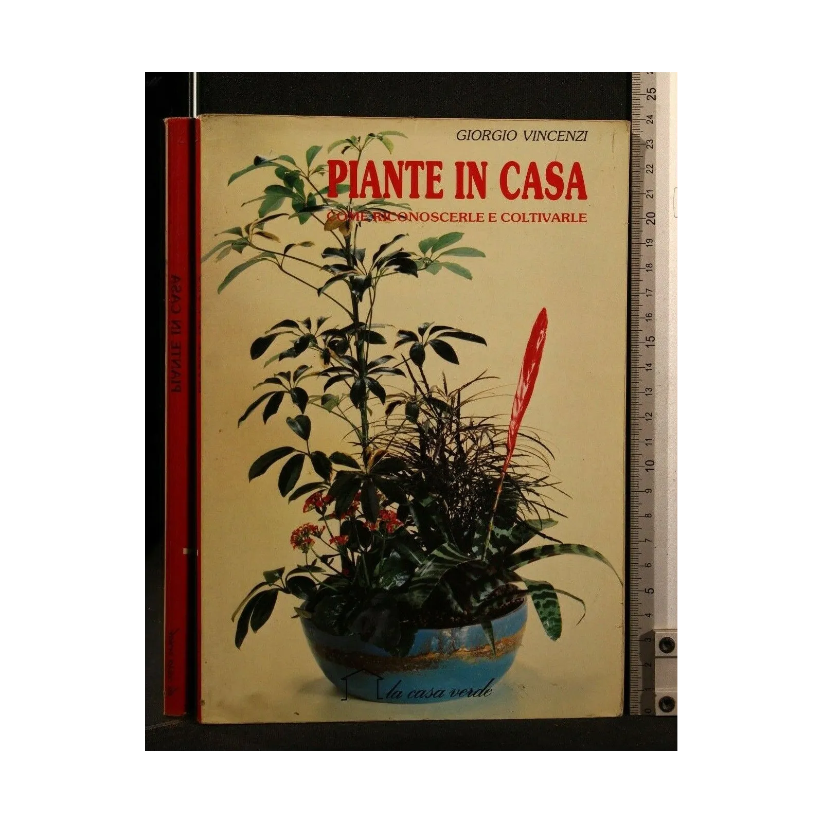 PIANTE IN CASA. GIORGIO VINCENZI. LA CASA VERDE.