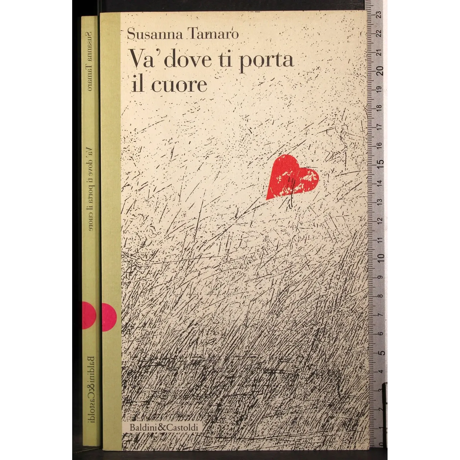 Va' dove ti porta il cuore