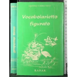 Vocabolario figurativo