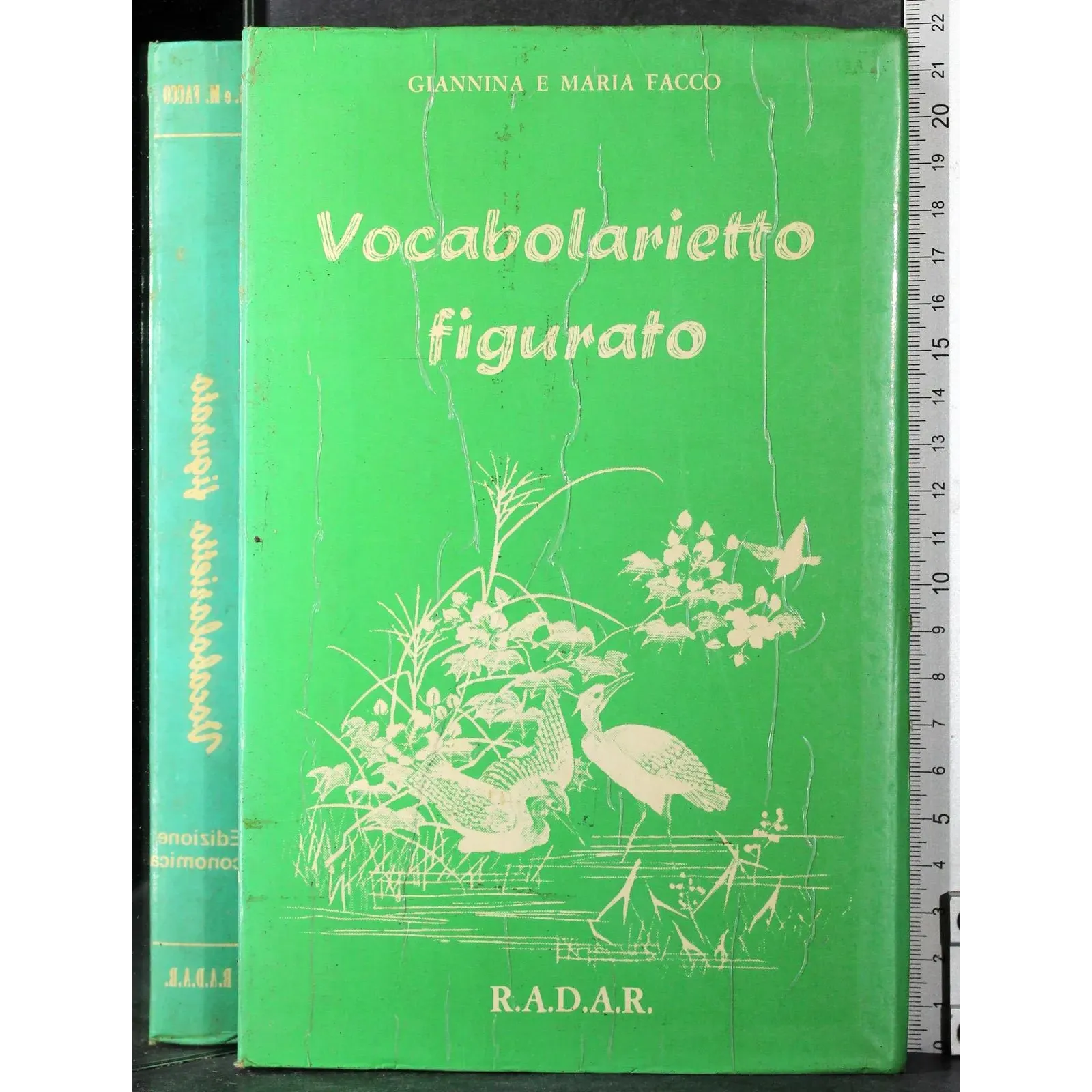 Vocabolario figurativo