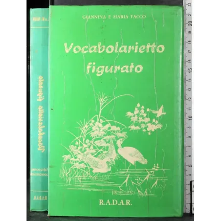 Vocabolario figurativo
