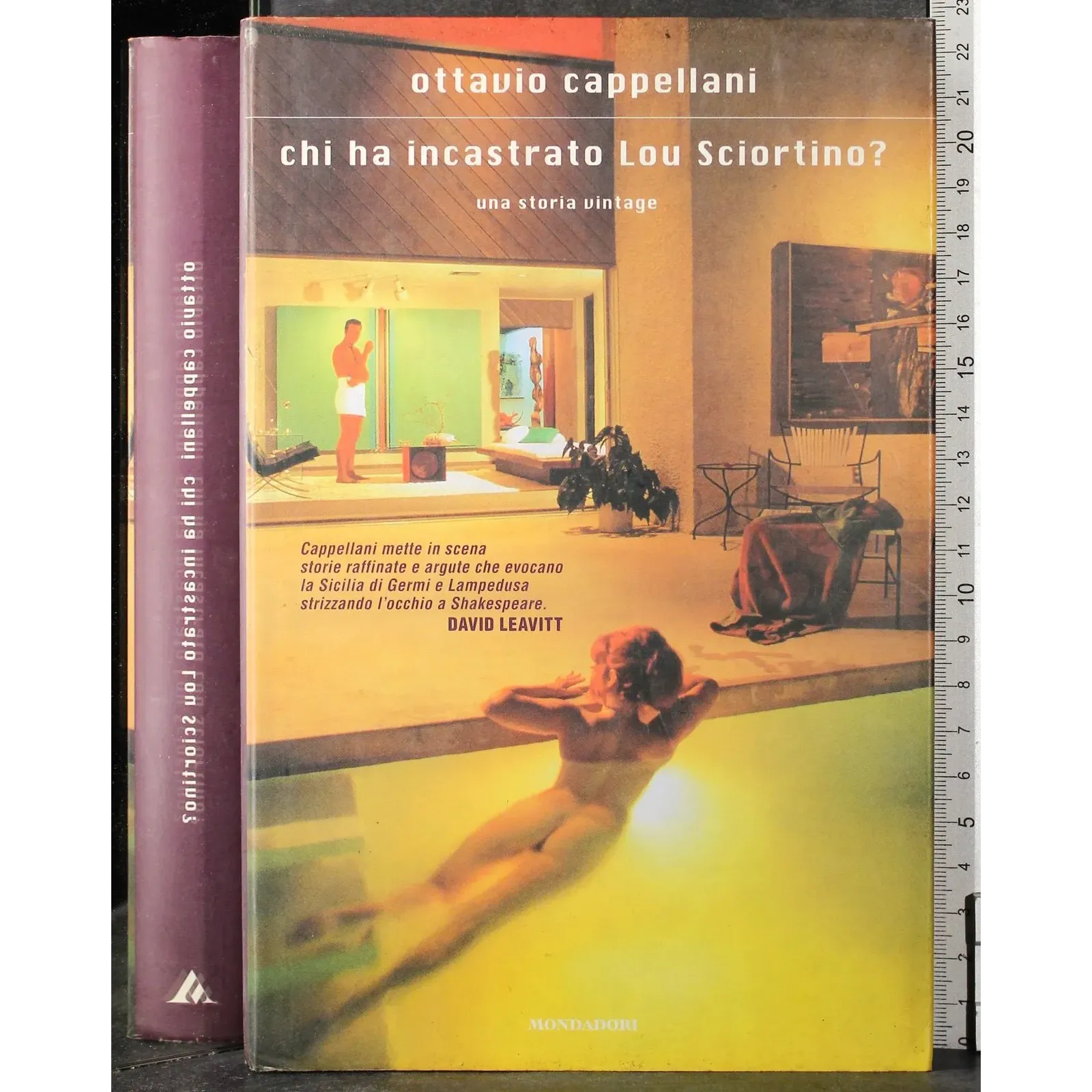 Chi ha incastrato Lou Sciortino?