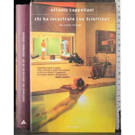 Chi ha incastrato Lou Sciortino?