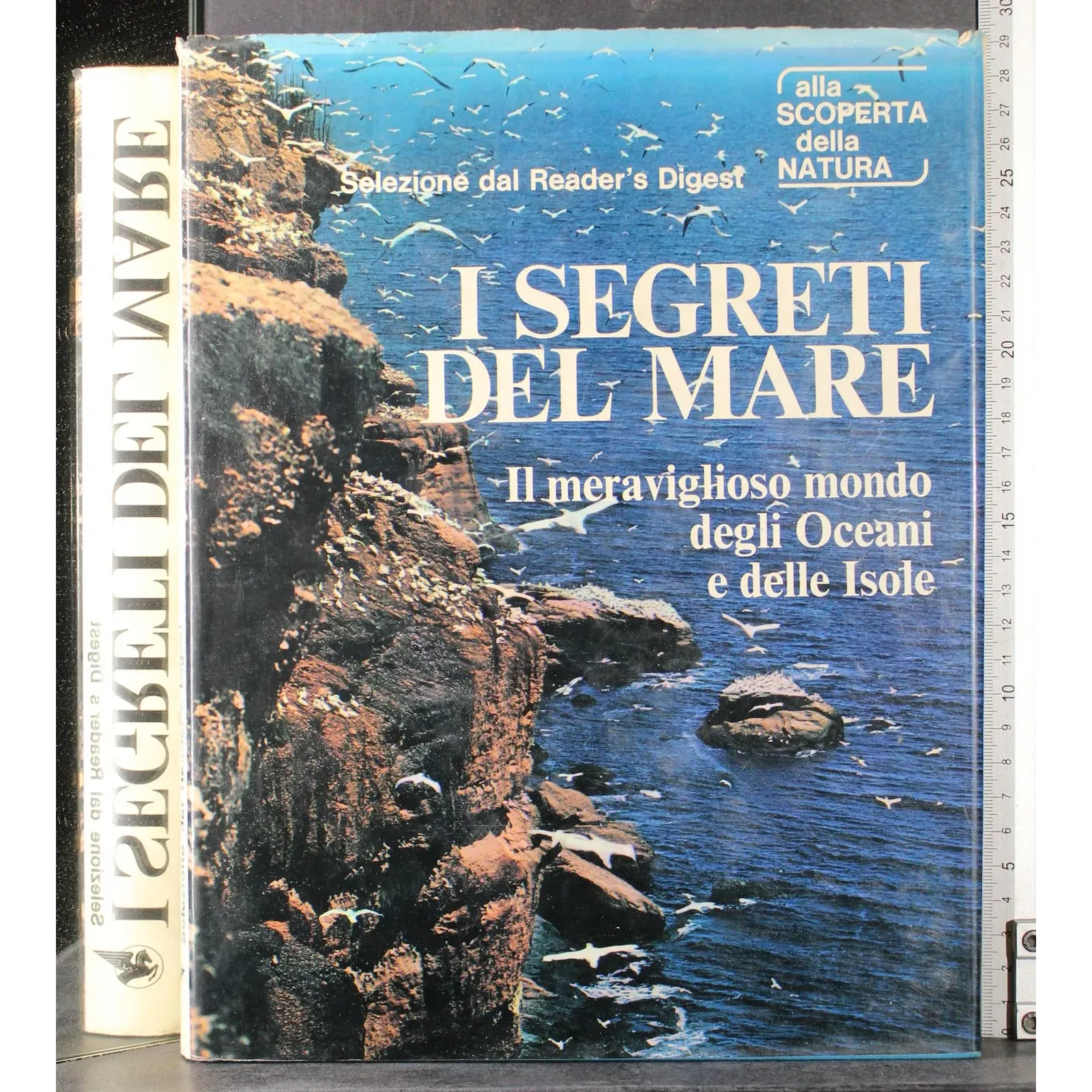 I segreti del mare