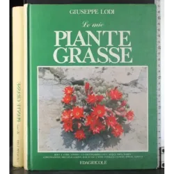 Le mie piante grasse