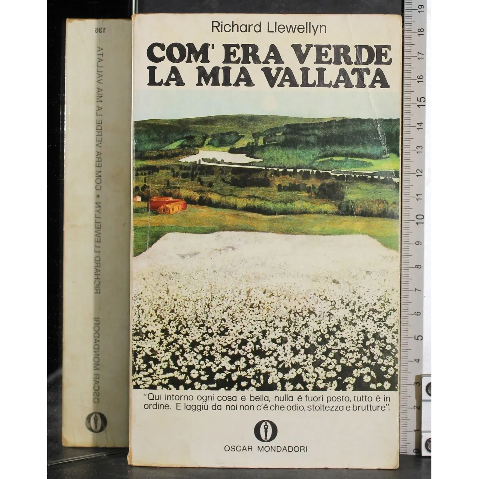 Com'era verde l amia vallata