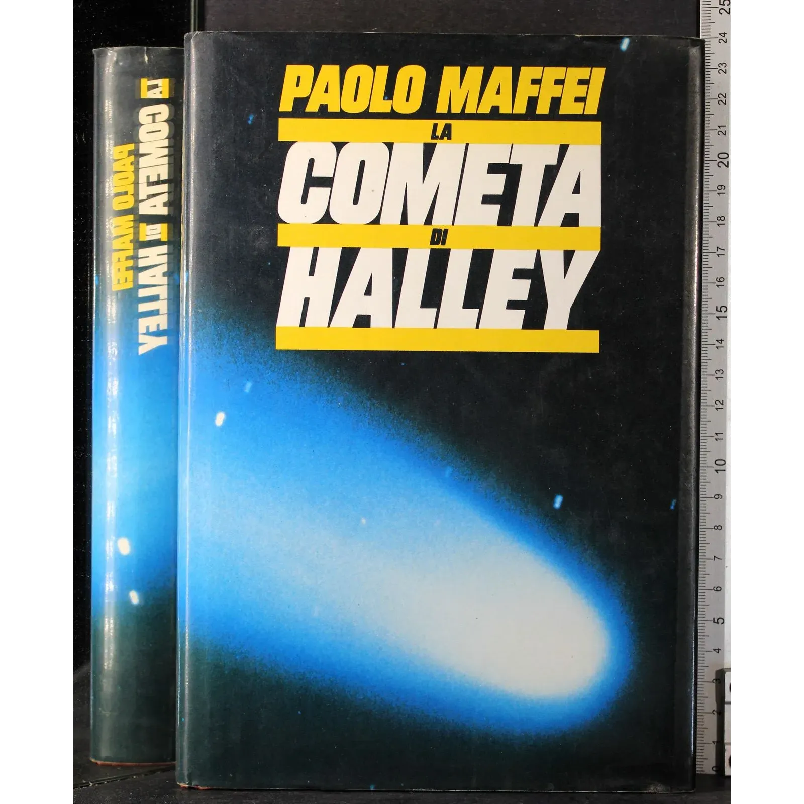 La cometa di Halley