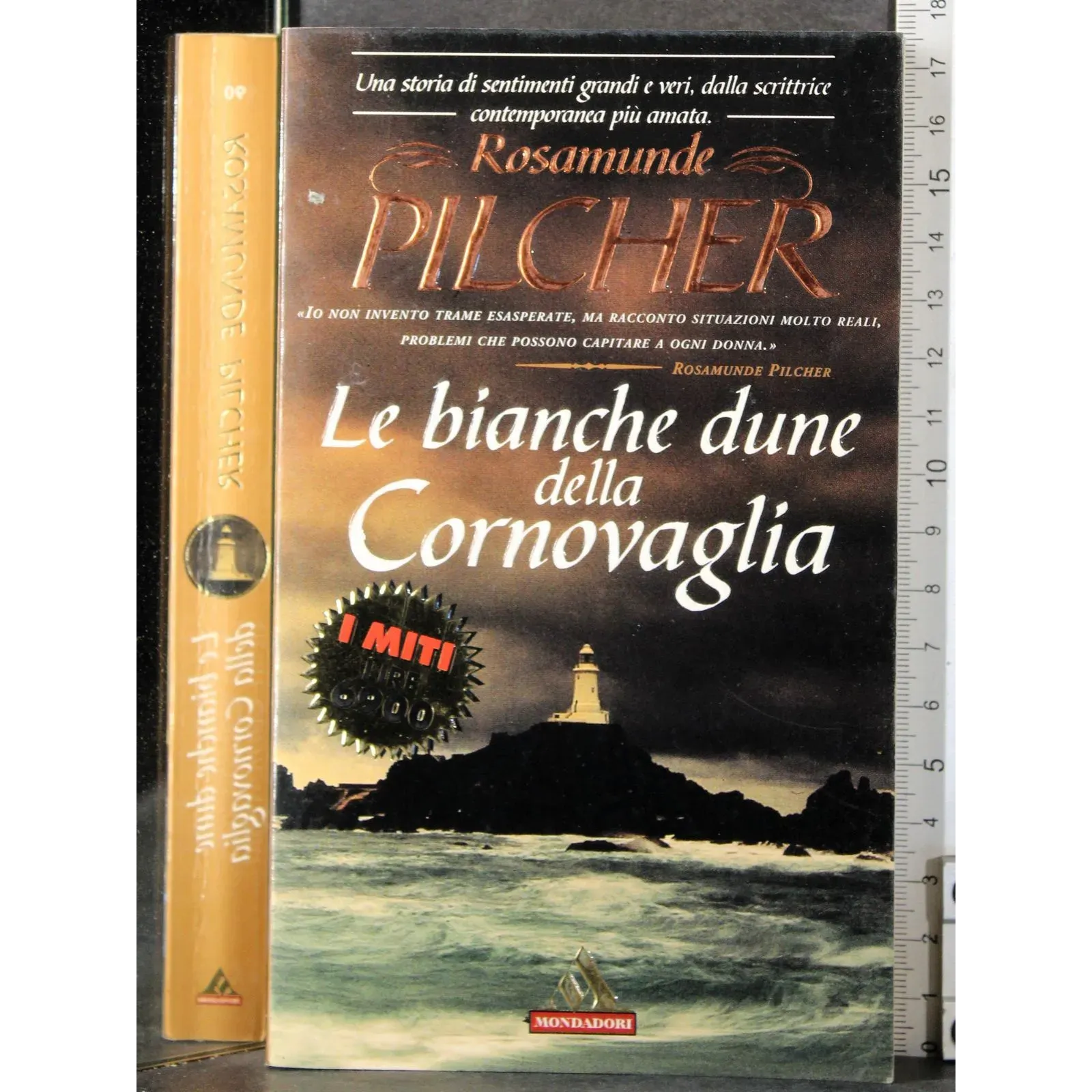 Le bianche dune della Cornovaglia