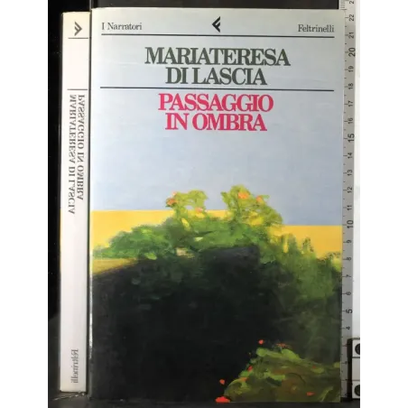 Passaggio in ombra
