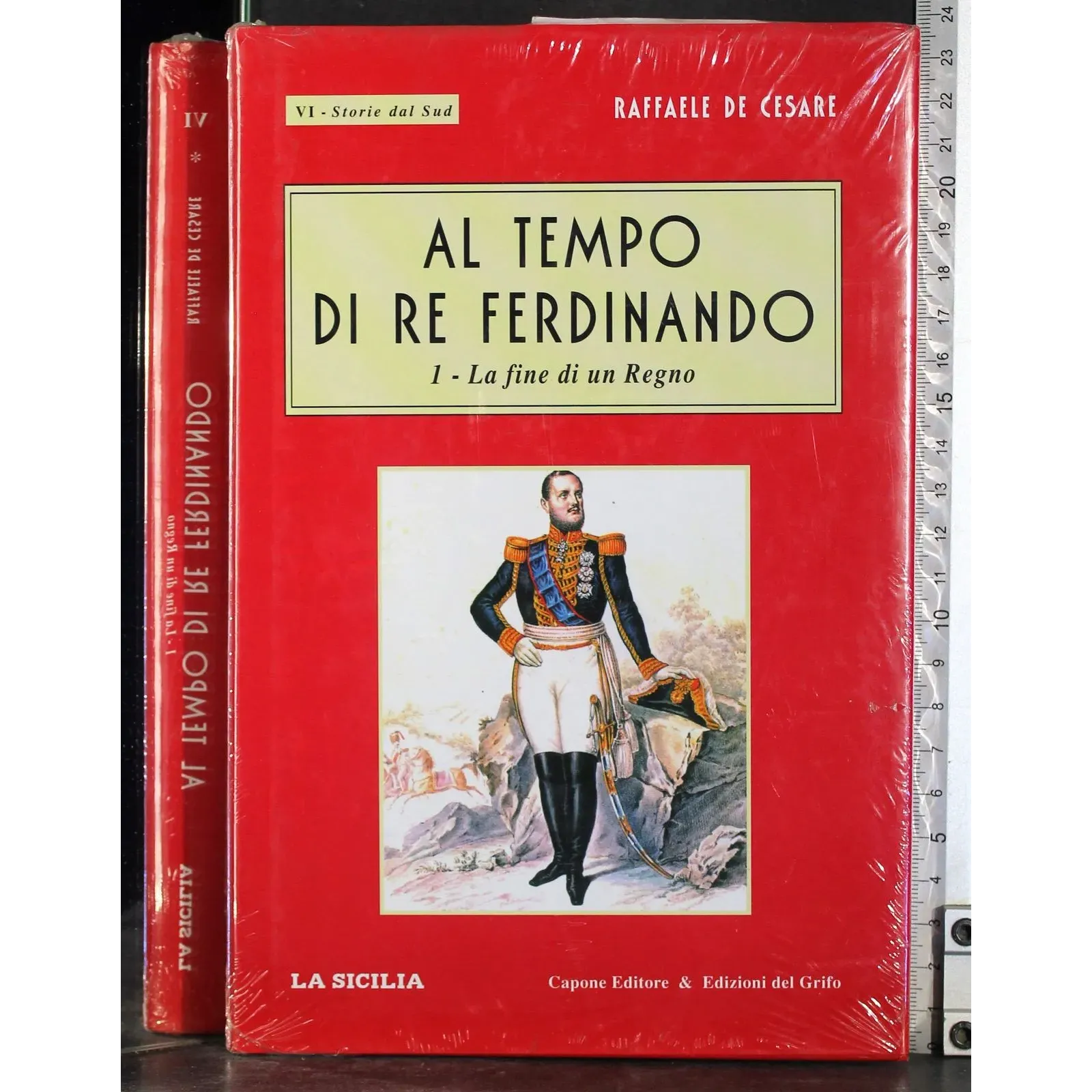 Al tempo di Re Ferdinando. Vol 1
