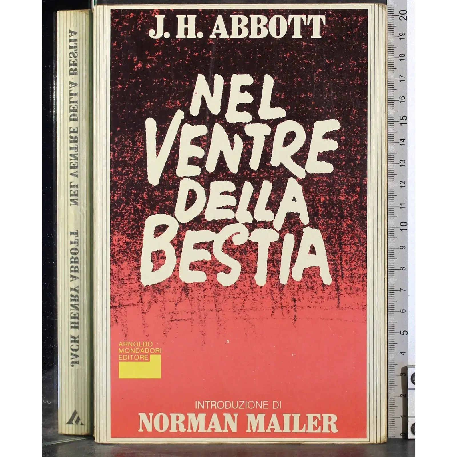 Nel ventre della bestia