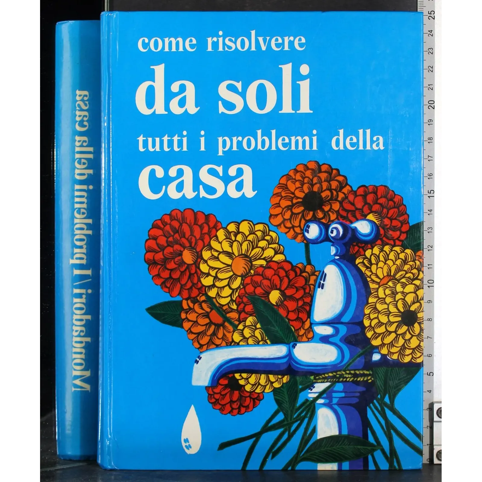 Come risolvere da soli tutti i problemi della casa