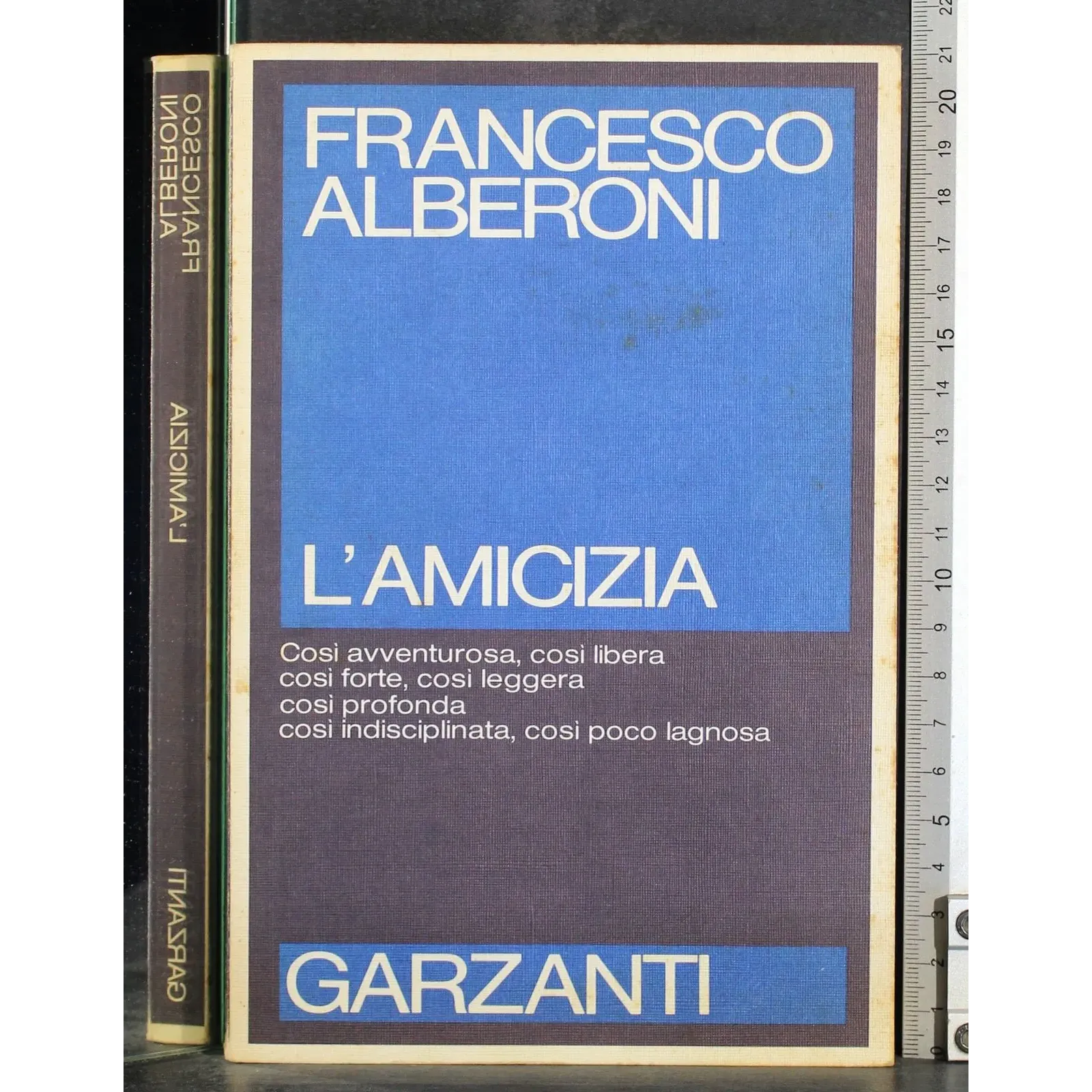 L'amicizia