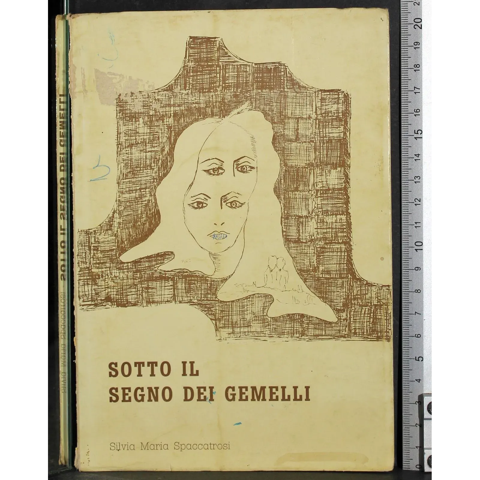 Sotto il segno dei gemelli