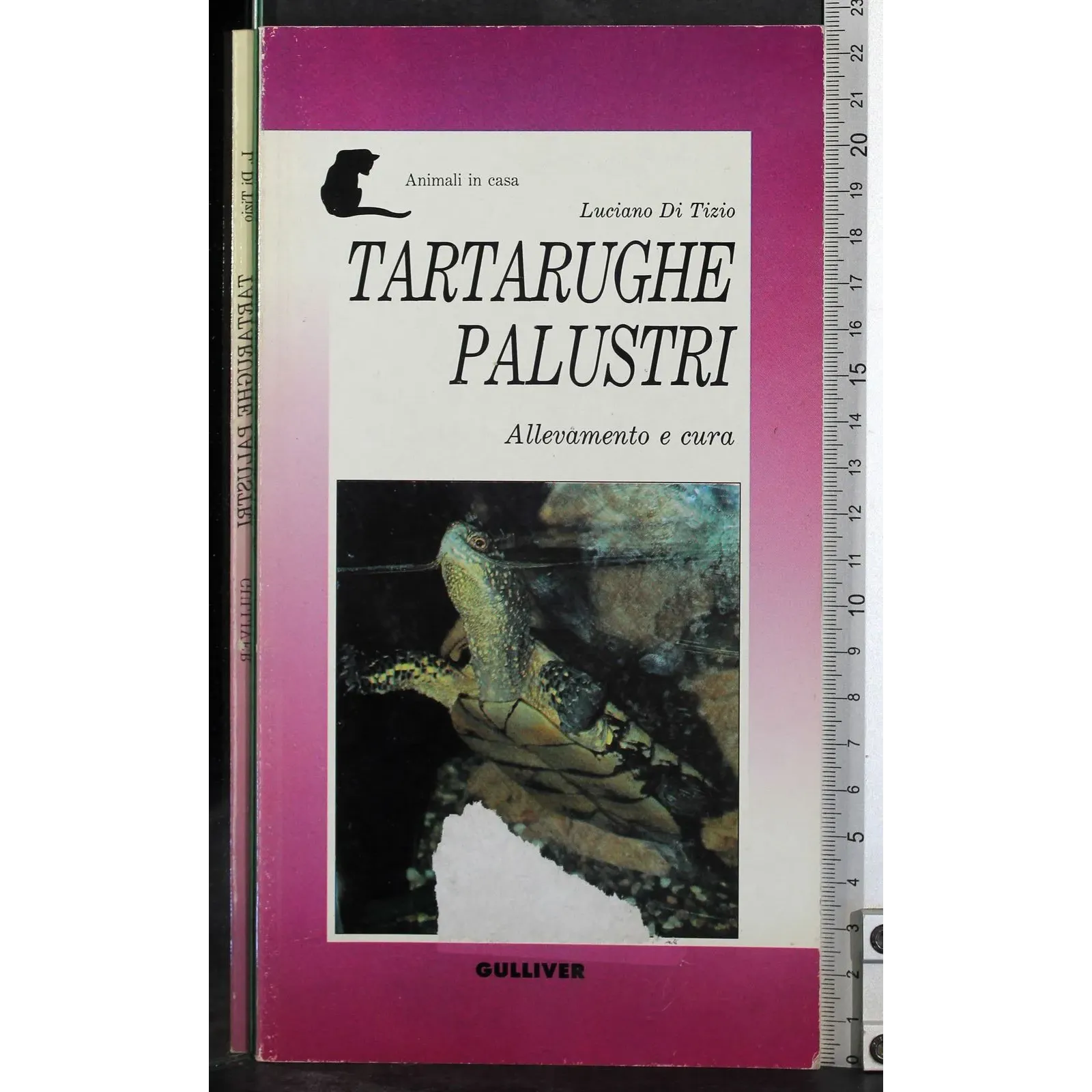 Tartarughe palustri