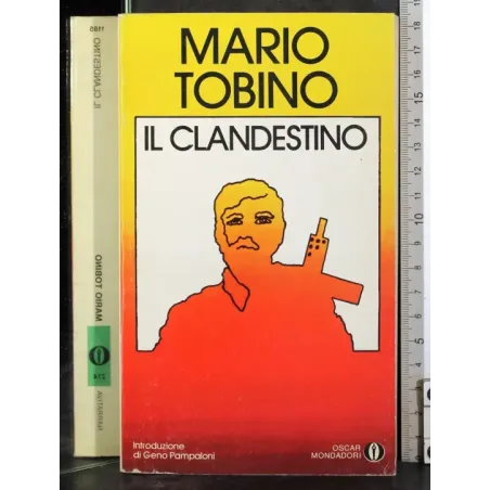 Il clandestino