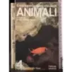 Enciclopedia animali 3. Rettili, Anfibi, Pesci